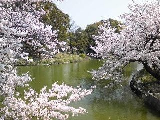 桃ヶ池公園の画像5