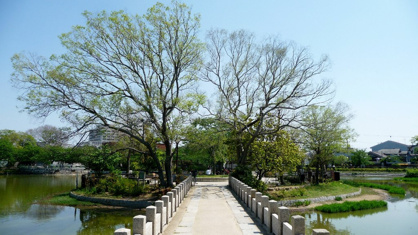 万代池公園の画像2
