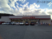 しまむら砥堀店