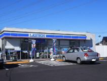 ローソン行田持田西店