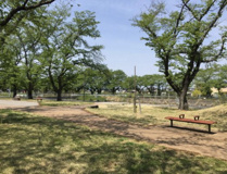 見沼公園