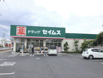 ドラッグセイムス行田押上店
