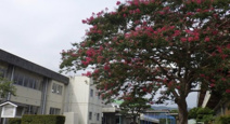 寄居町立折原小学校