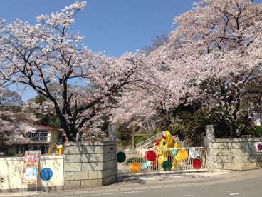 東平幼稚園の画像1