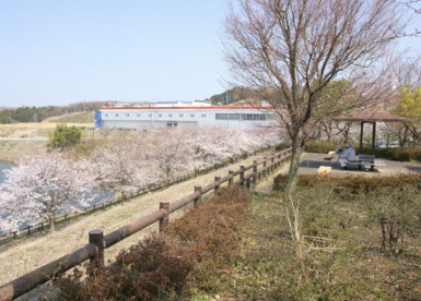 花見台第一公園の画像1