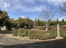 小川東第１２公園