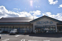 リオン・ドール年貢店