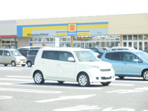 マツモトキヨシ藤代