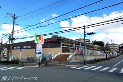デイリーカナートイズミヤ上新田店の画像1