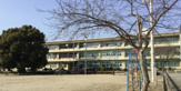 山梨市立日川小学校