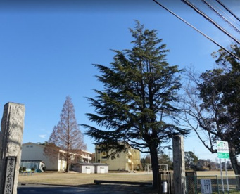 市原市立菊間小学校の画像1