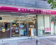 コンビニエンスストア ナチュラルローソン 京王プレッソイン浜松町店