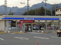 ローソン 榛東新井南店