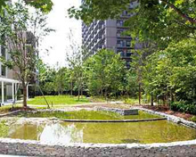 公園 こげらの庭