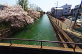 鴨川運河　遊歩道（横縄橋付近）