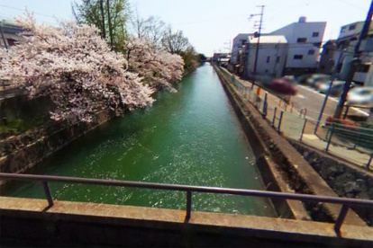鴨川運河 遊歩道(横縄橋付近)の画像1