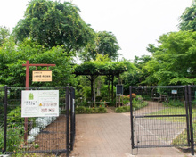 上用賀五丁目いらか道市民緑地