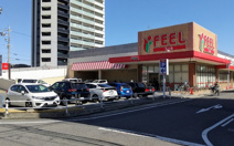 FEEL(フィール) 花の木店