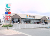 マルショク 南風店
