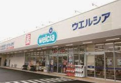ウエルシア鶴ケ島脚折店の画像1