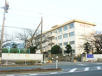 の画像