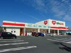 くすりのレディ　東大洲店の画像1