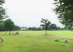 入西公園の画像1