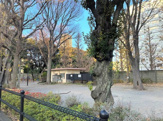 文京区立切通公園