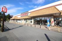 とりせん 大泉店