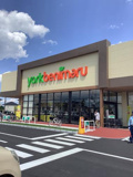 ヨークベニマル牛久上柏田店