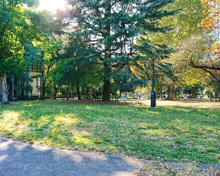 戸山公園 芝生広場