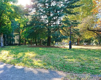 戸山公園 芝生広場の画像1