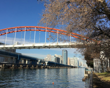 公園 京浜運河緑道公園