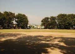 芦山公園の画像1