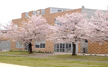 太田市立沢野中央小学校