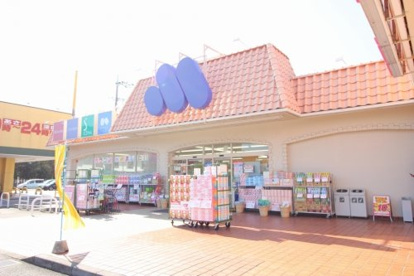 マルエドラッグ鳥山店の画像1