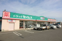 ドラッグセイムス太田西本町店