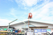 コメリハード&グリーン新田店