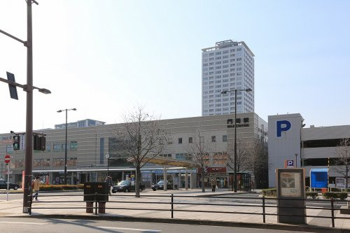 の画像