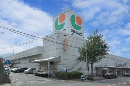 の画像