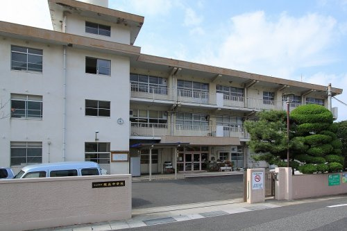 の画像