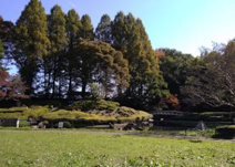 清水公園