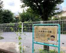 公園 九号通り公園