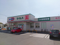 ドラッグセイムス 志木中宗岡4丁目店