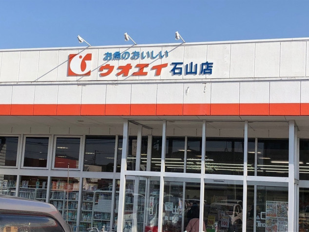 の画像