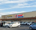 マツモトキヨシ西平井店