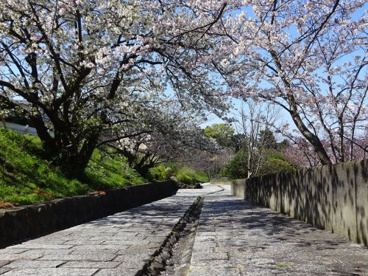 富士見坂の画像2