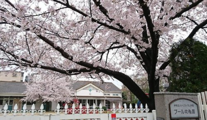 認定こども園プール幼稚園の画像1