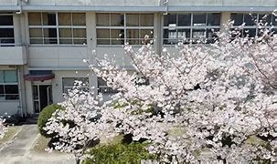 上穂波小学校の画像1