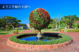 熱帯・亜熱帯都市緑化植物園